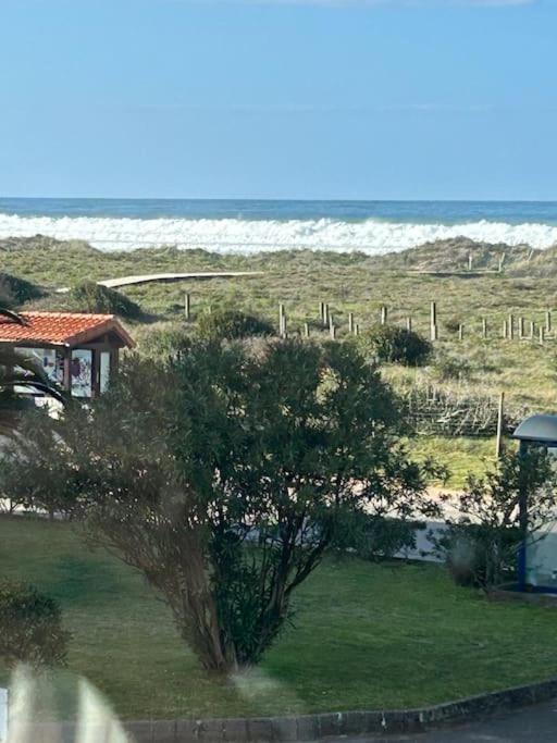 Playa De Berria -Apartamento Con Piscina Y Vistas Al Mar Santoña Εξωτερικό φωτογραφία
